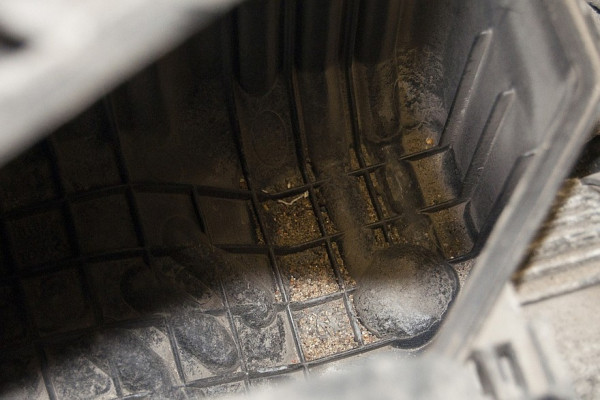 Вдох глубокий, три-четыре: как проверить и заменить воздушный фильтр Вдох глубокий, три-четыре: как проверить и заменить воздушный фильтр